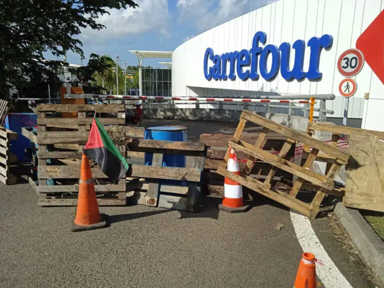 Catástrofe en el Caribe: Denuncian a Francia por envenenar al 92% de la población de Martinica